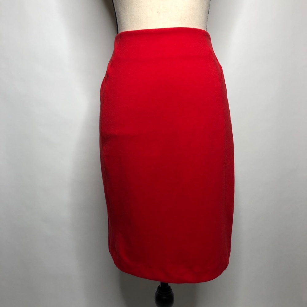 New York & Company Skirt